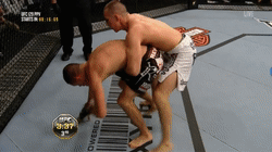 UFC:红王- 洛里-麦克唐纳德 VS 小麻 内特-迪亚兹